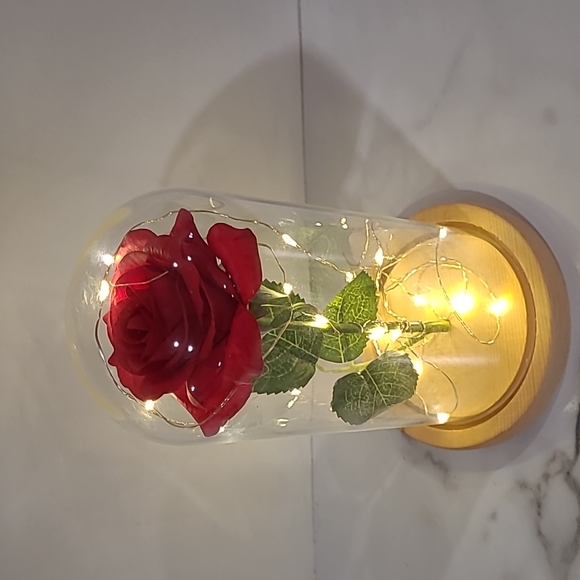 Beauty and the beast rose with lights - Picture 2 of 5